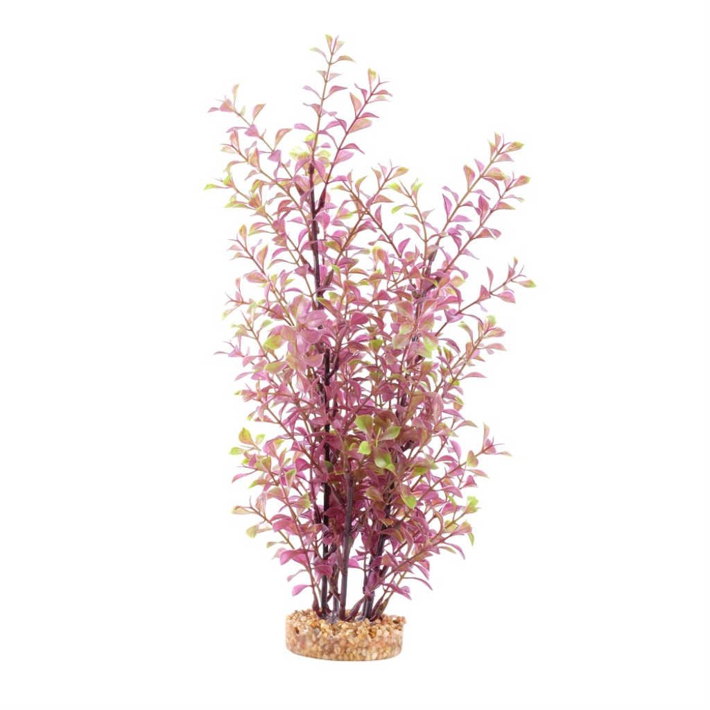 Fluval Aqualife Red Ludwigia, 14-in
