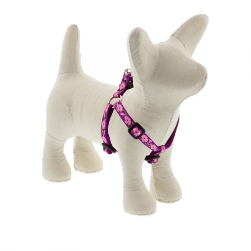 Lupine Pet Original Designs Step In Dog Harness, Rose Garden, 1-in x 24-38-in