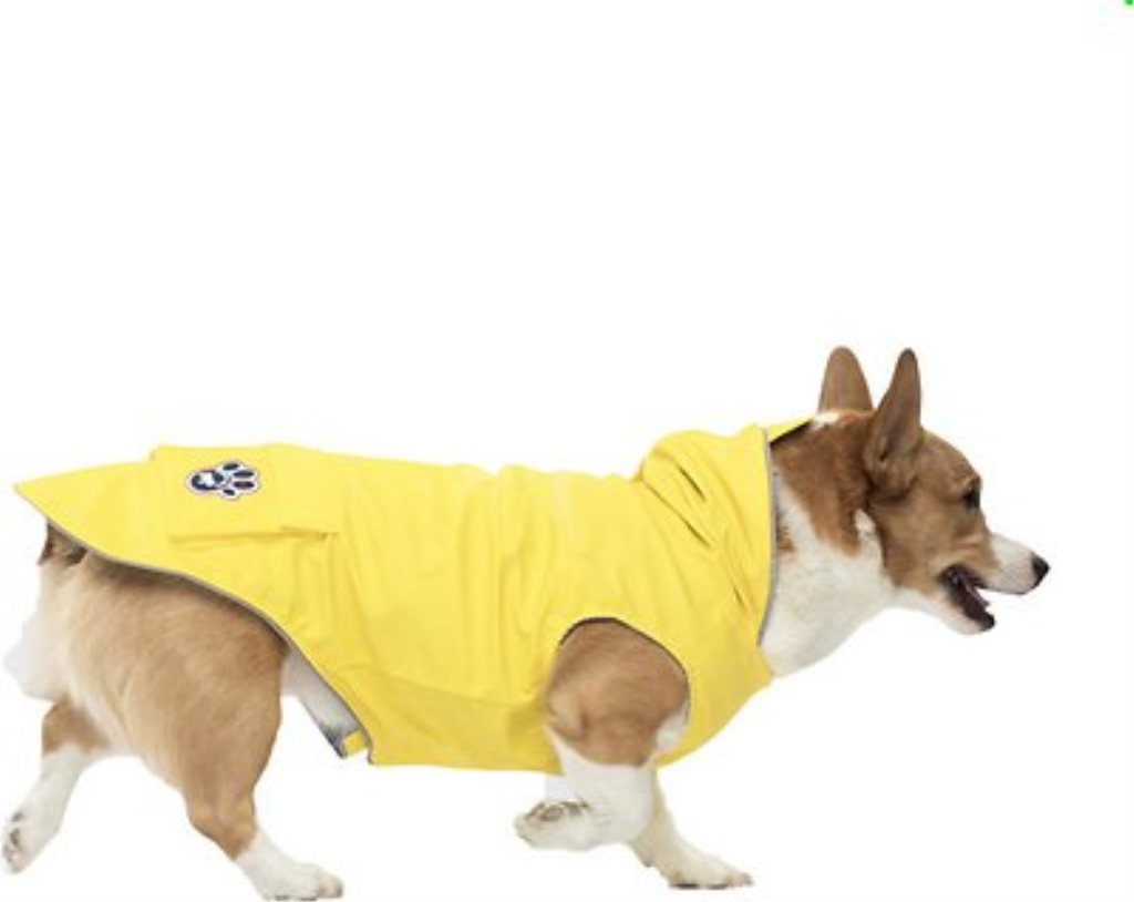 Canada Pooch Torrential Tracker Dog Raincoat, Yellow, 10