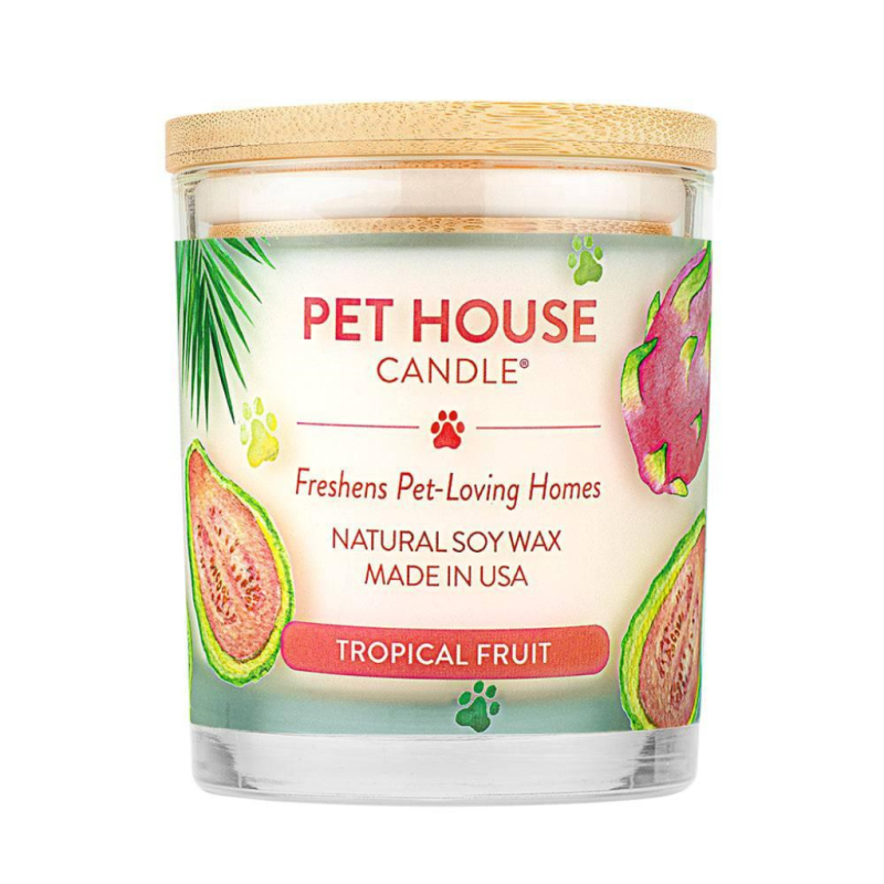 Pet House Candle Tropical Fruit Large