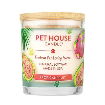 Pet House Candle Tropical Fruit Large