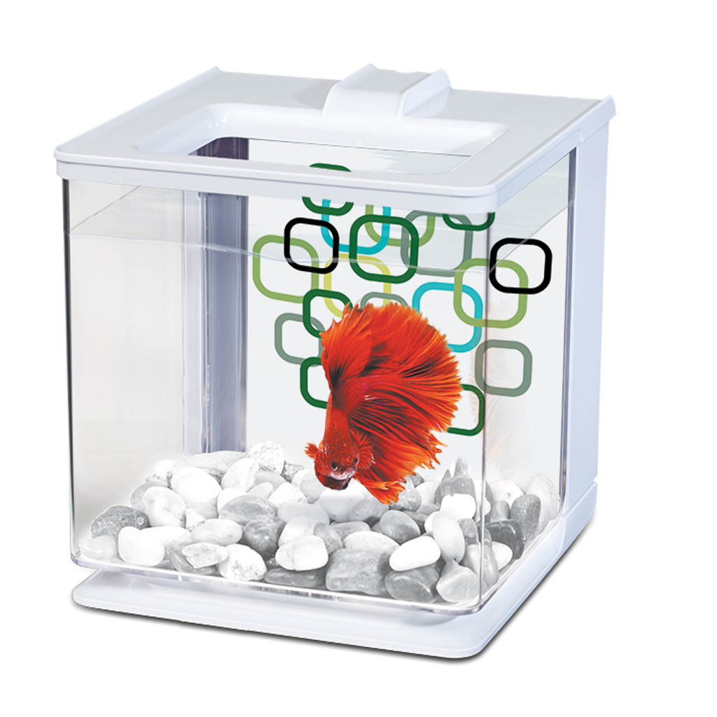 Marina 2.5L EZ Care Betta Kit - White - 2.5 L (0.7 US gal)