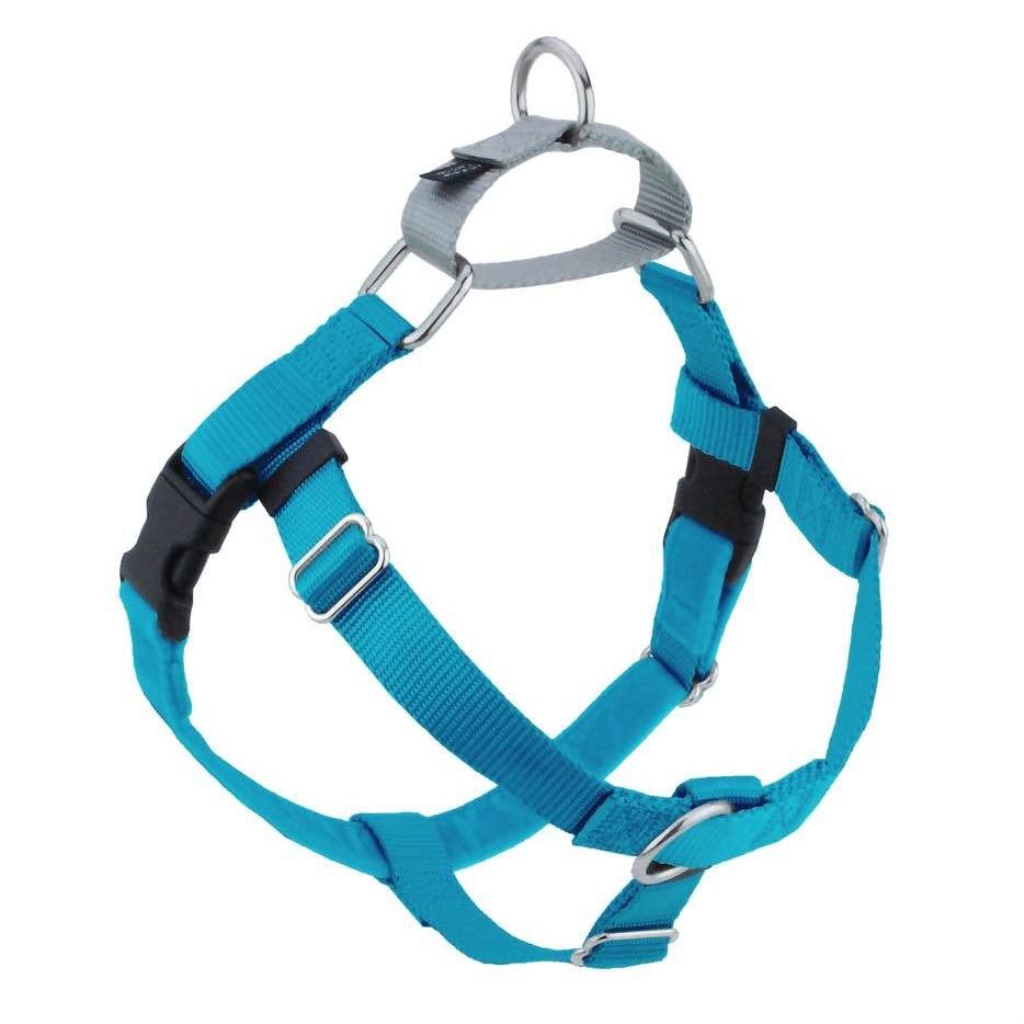 2 Hounds Design Freedom No-Pull Dog Harness & Leash, Turquoise, 5/8-in x 20-24-in