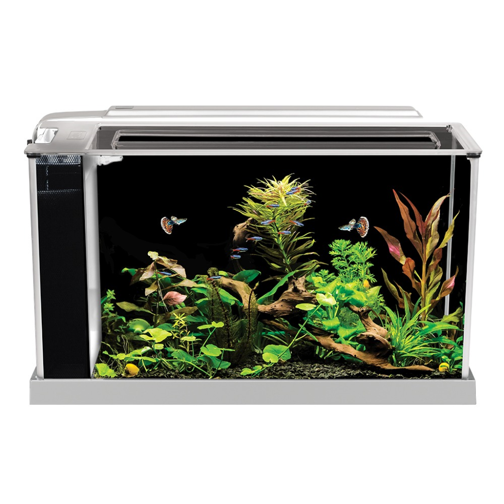 Fluval Spec V Aquarium Kit, White, 5-gal