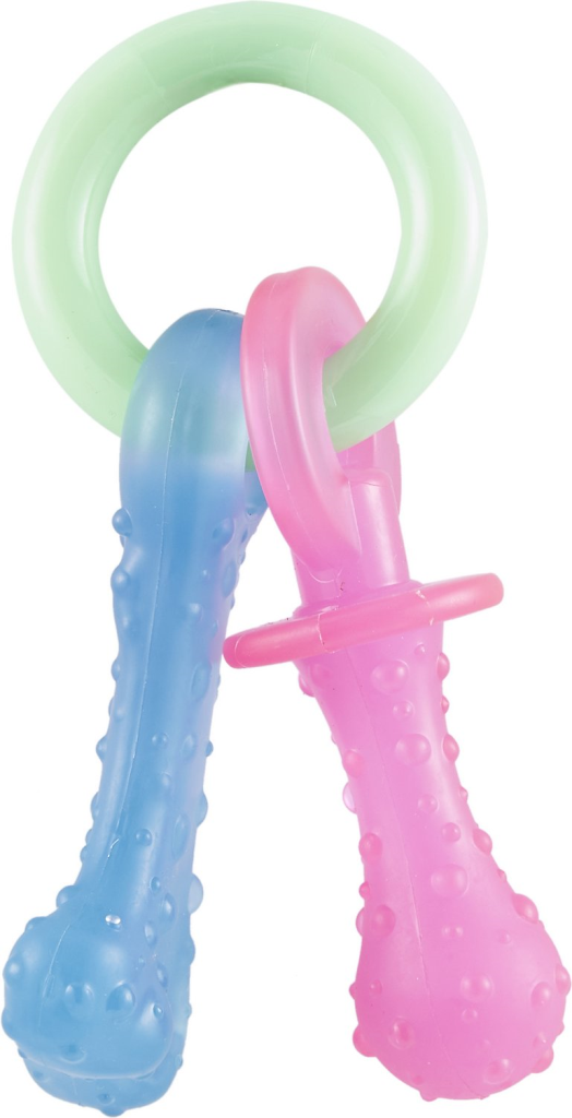 Nylabone Puppy Chew Teething Pacifier Dog Toy