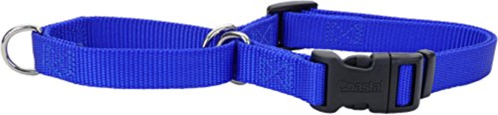 Coastal Collar No-Slip Martingale Dog Collar, Blue