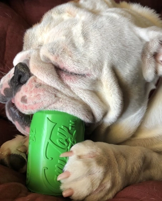 Product preview