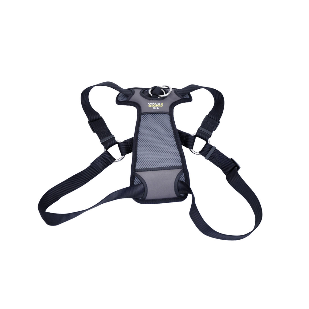 Coastal Walk Right! Front-Connect Padded Dog Harness, Black, X-Large