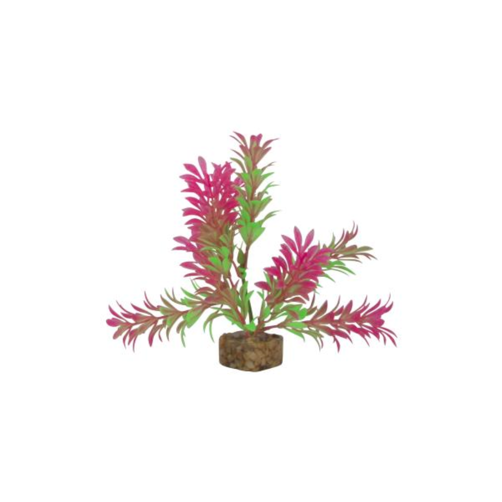 GloFish Aquarium Plant, Green/Pink, Small