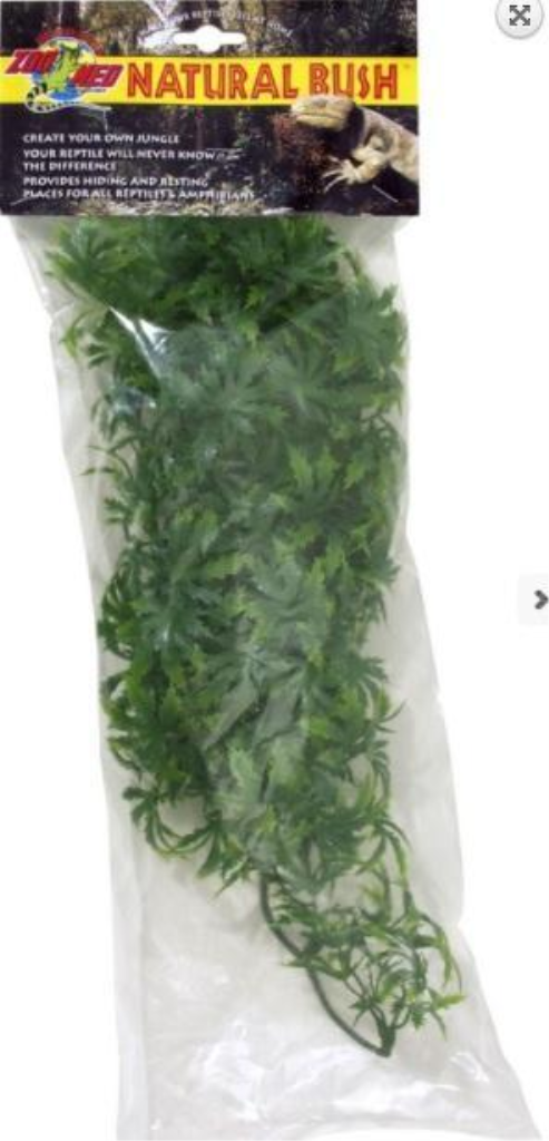 Zoo Med Natural Bush Cannabis Terrarium Plant, Medium