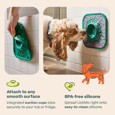 Product preview