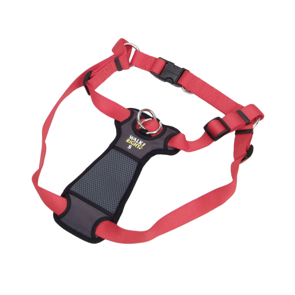 Coastal Walk Right! Front-Connect No-Pull Padded Dog Harness, Red, Small, 16-24-in