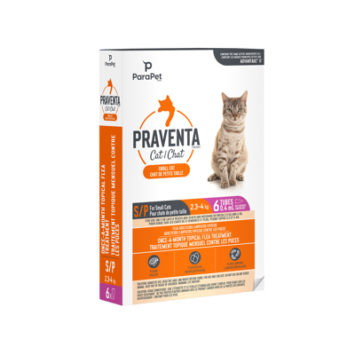 Product preview