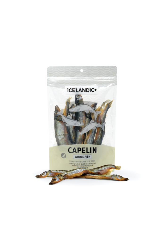 Icelandic+ Capelin Whole Fish Dog Treats, 2.5-oz