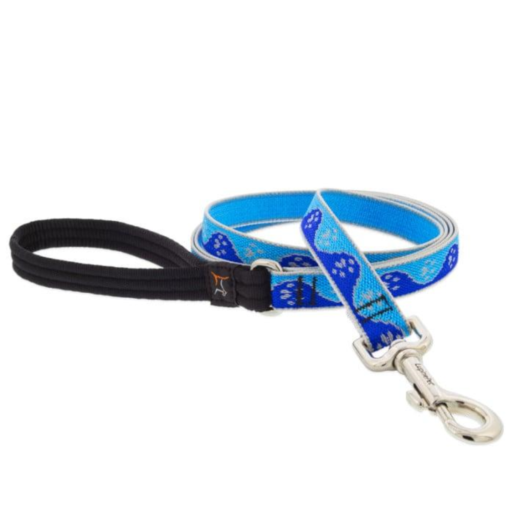Lupine Pet High Lights Reflective Dog Leash, Blue Paws, 3/4-in x 6-ft