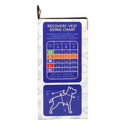 Product preview
