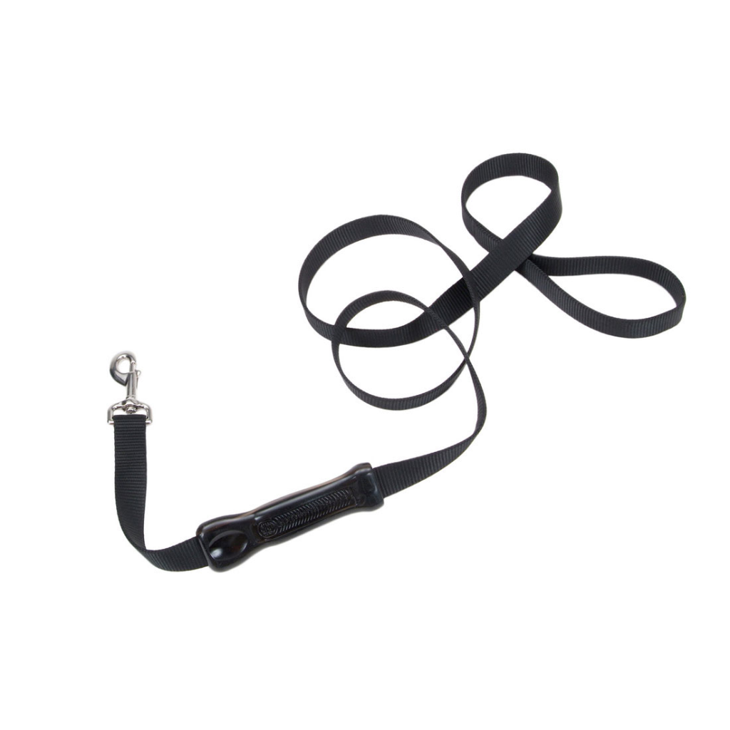 Coastal Insta-Grip Control Handle Dog Leash, 6-ft