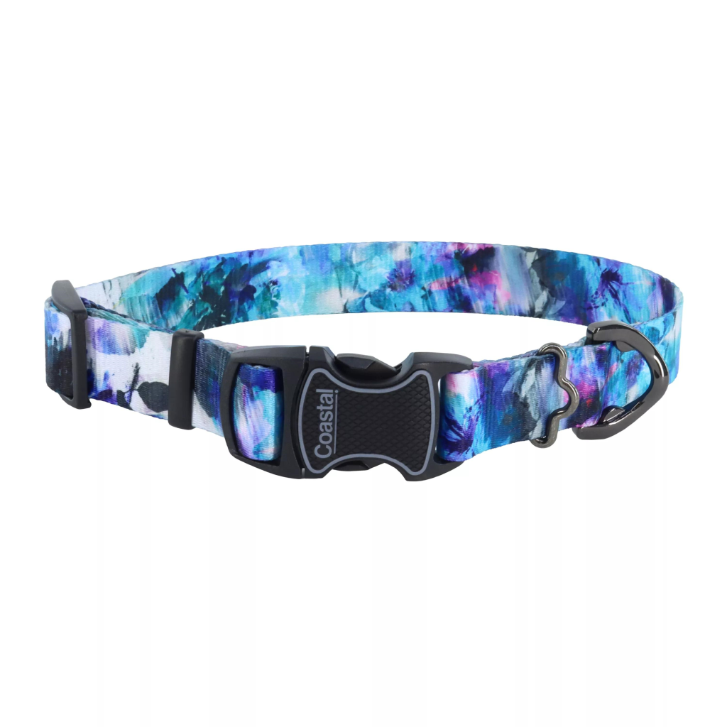 Inspire Adjustable Fashion Dog Collar, Rainy Day Floral, 1-in x 18-26-in