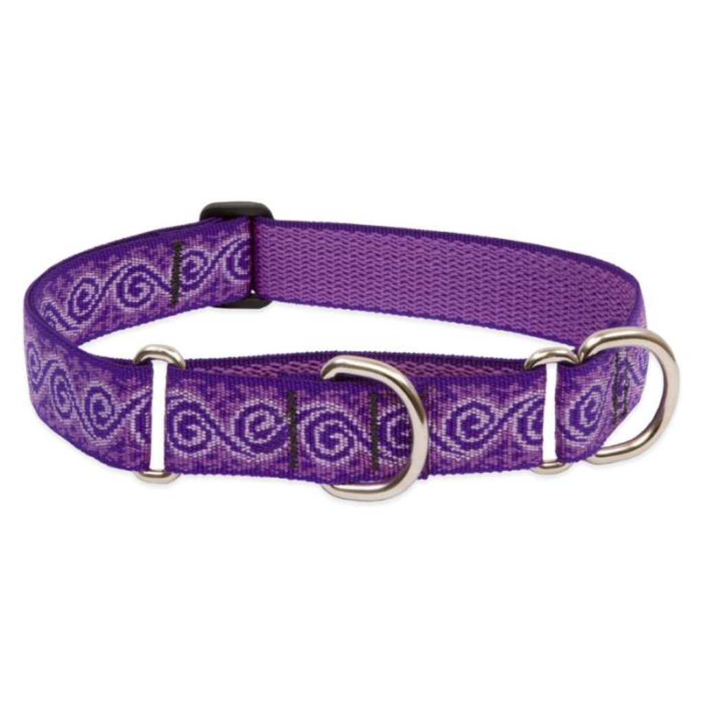 Lupine Pet Original Designs Martingale Dog Collar, Jelly Roll, 1-in x 15-22-in