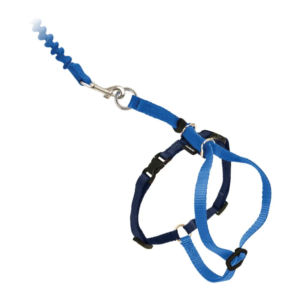 PetSafe Come With Me Kitty Harness & Bungee Cat Leash, Royal Blue/Navy, Large