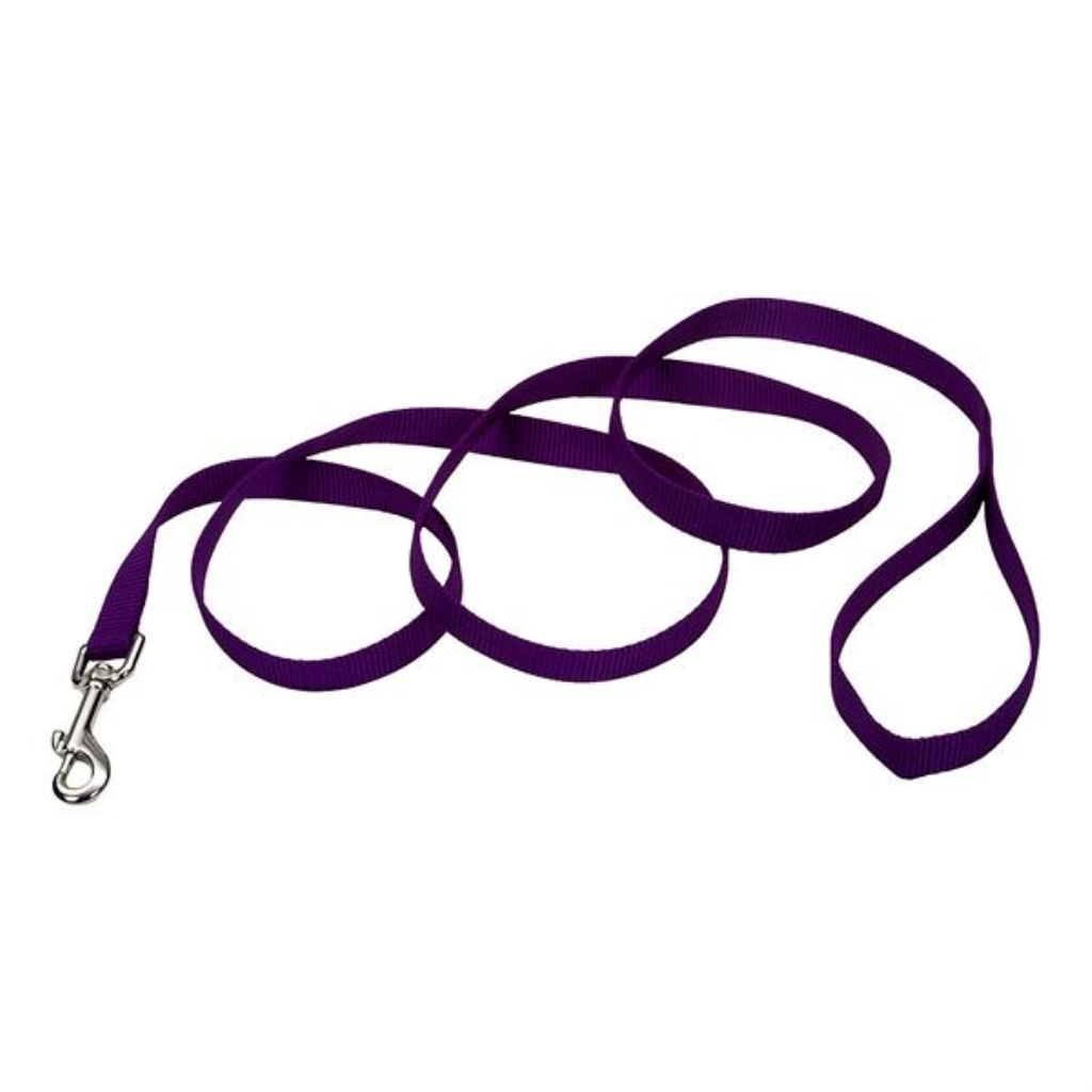 Coastal Single-Ply Dog Leash, Purple, 5/8-in Wide x 6-ft Long