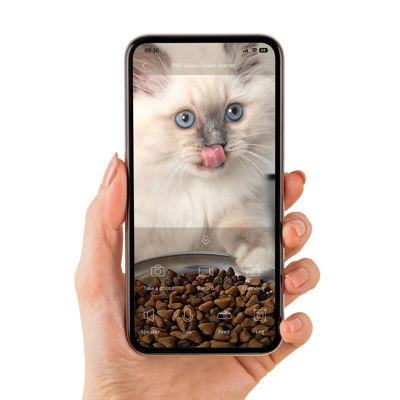 Product preview
