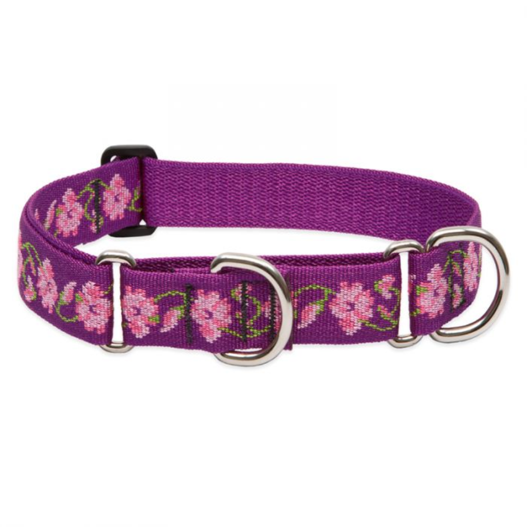 Lupine Pet Original Designs Martingale Dog Collar, Rose Garden, 3/4-in x 10-14-in