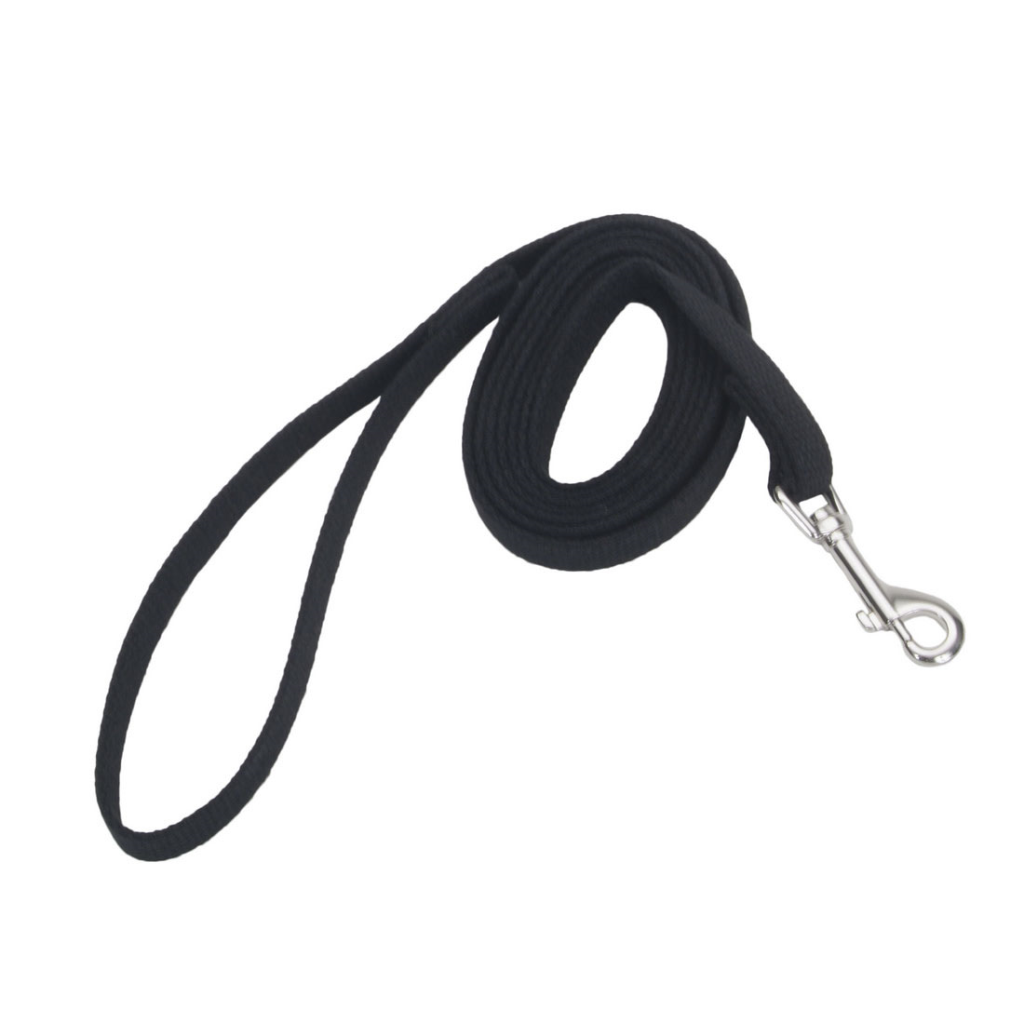 Coastal Train Right! Cotton Web Training Dog Leash, Black, 10-ft