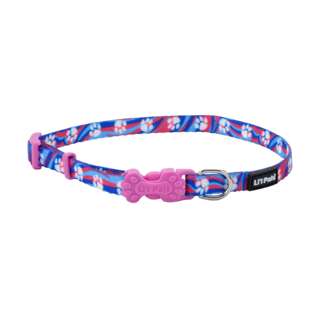 Li'l Pals Adjustable Patterned Dog Collar, Light Blue Paw, 3/8-in x 8-12-in