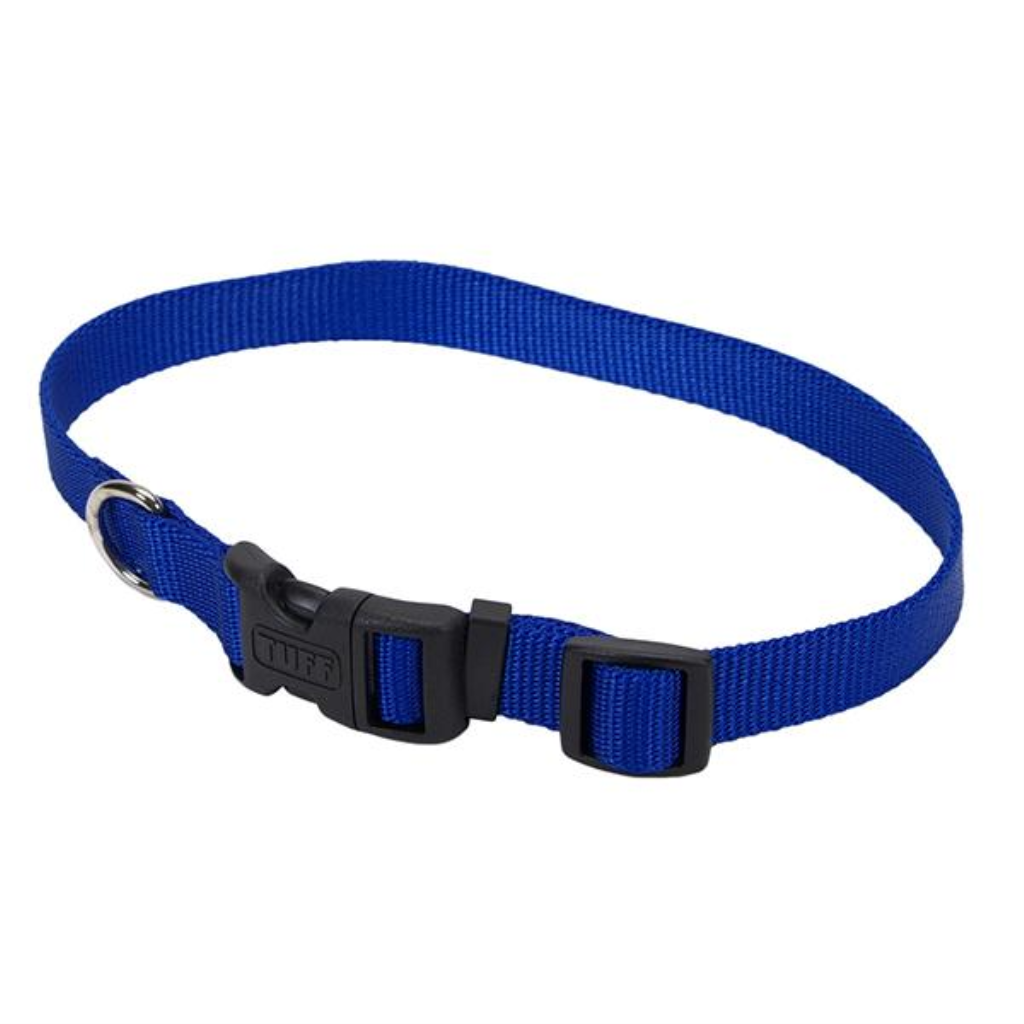 Coastal Tuff Dog Collar, Blue, 3/8-in x 8-12-in