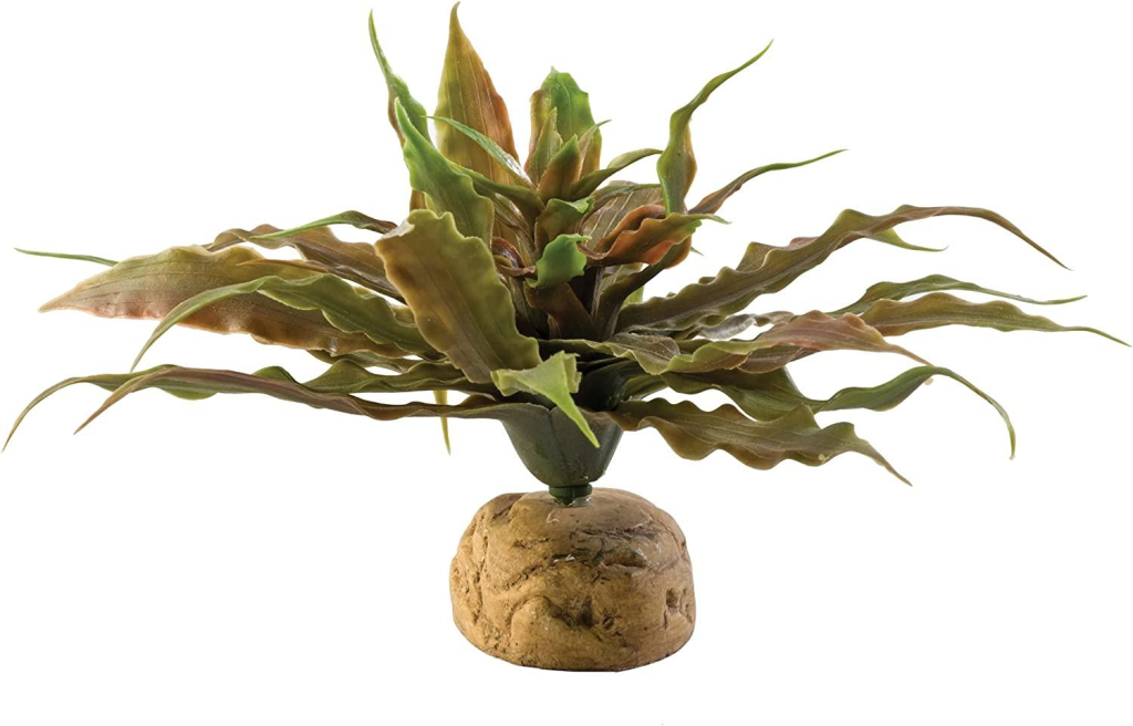 Exo Terra Desert Star Cactus Terrarium Plant, Small
