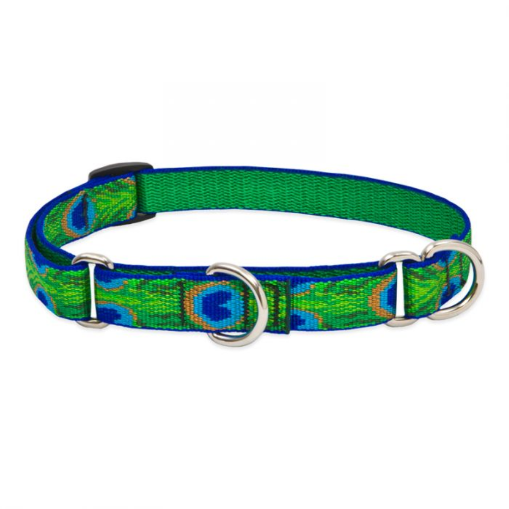 Lupine Pet Original Designs Martingale Dog Collar, Tail Feathers, 3/4-in x 10-14-in