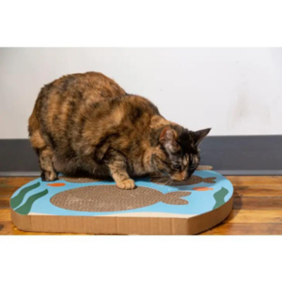 Product preview