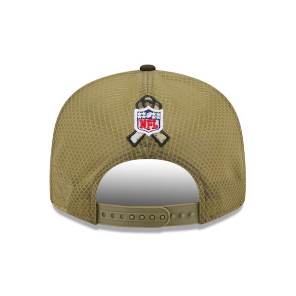 Detroit Lions Salute to Service 2025 Olive and Dark Olive 9Fifty Split Panel