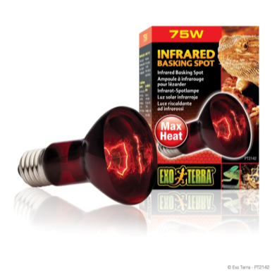 Lighting & Heaters