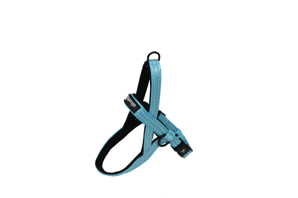 Alcott Norwegian Dog Harness, Blue, X-Large