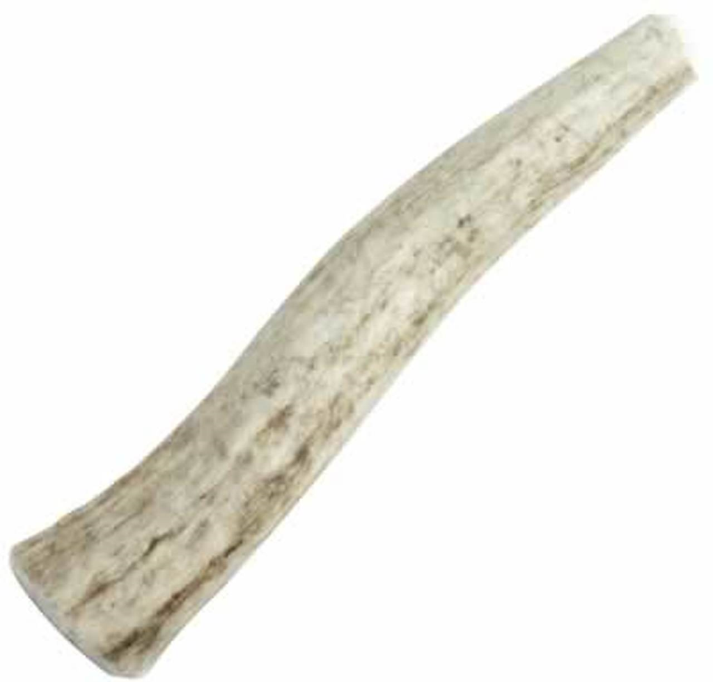 Happy Dog of Cape Cod Whole Elk Antler Dog Treats, X-Small