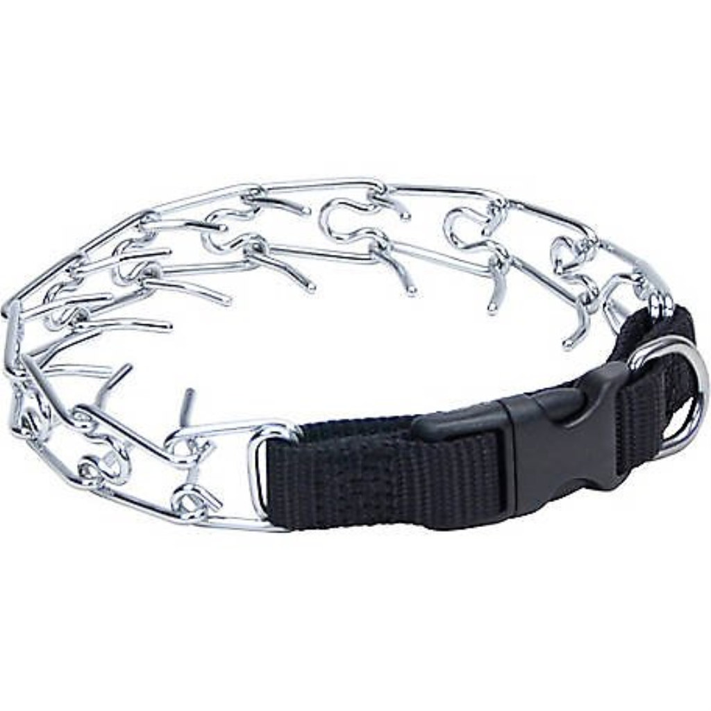 Coastal Titan Martingale Prong Training Dog Collar, 18-in