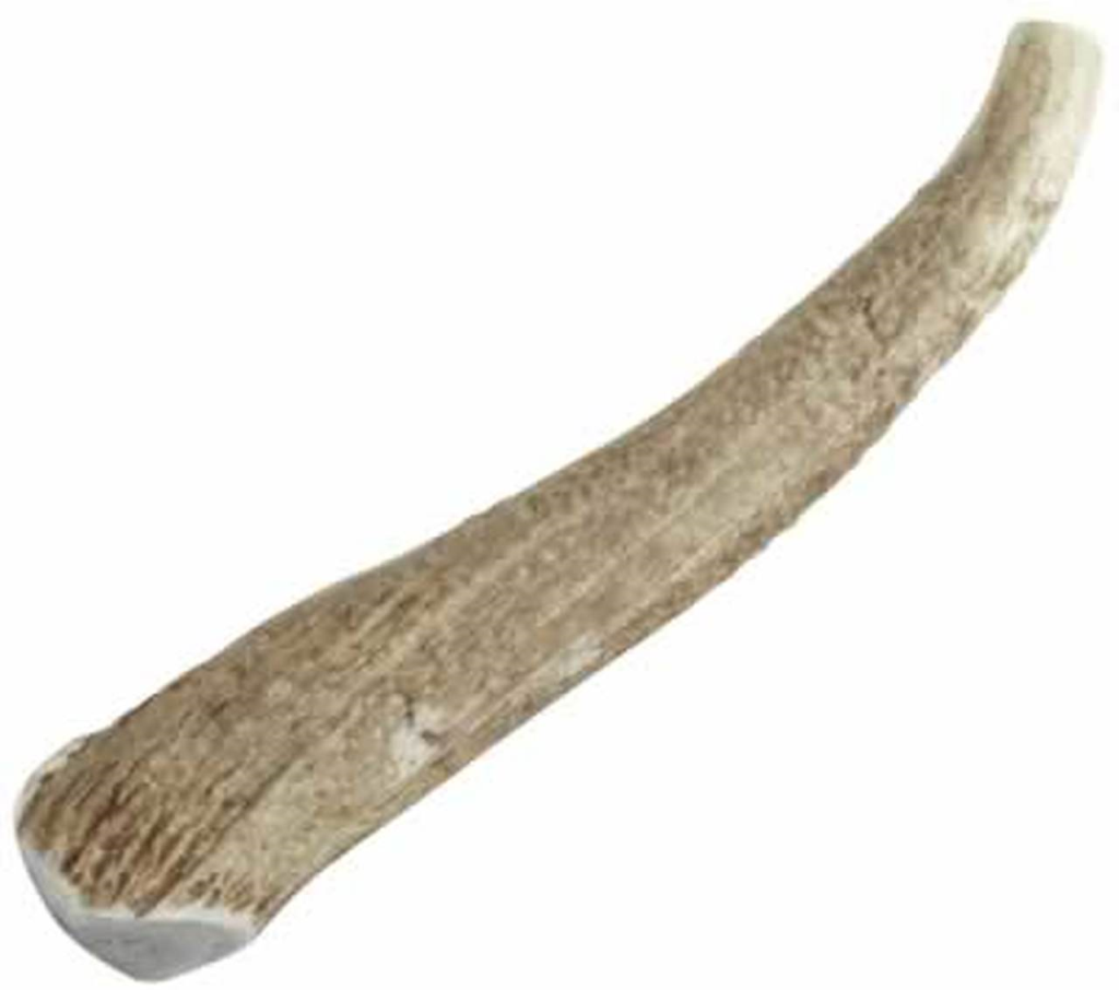 Happy Dog of Cape Cod Whole Elk Antler Dog Treats, Jumbo