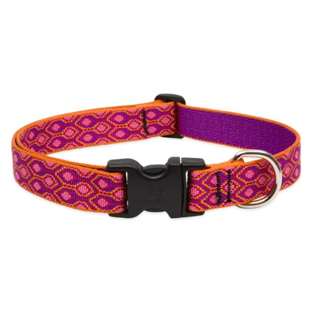 Lupine Pet Original Designs Adjustable Dog Collar, Alpen Glow, 1-in x 12-20-in