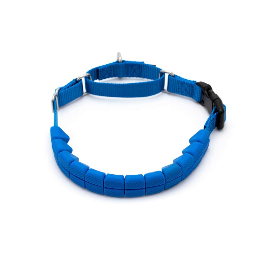 PetSafe Soft Point Training Dog Collar, Royal Blue , Medium