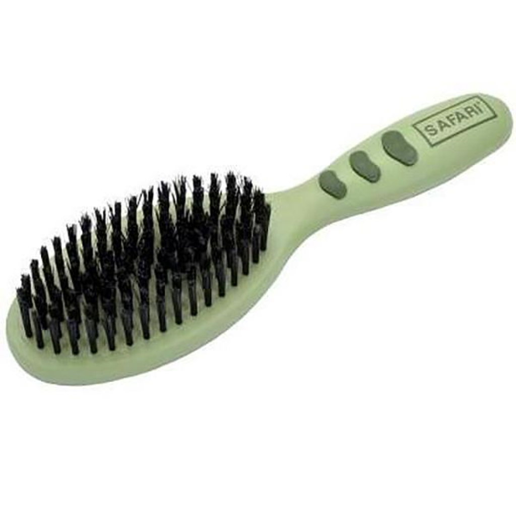 Safari Dog Bristle Brush with Handle, Large, One Size