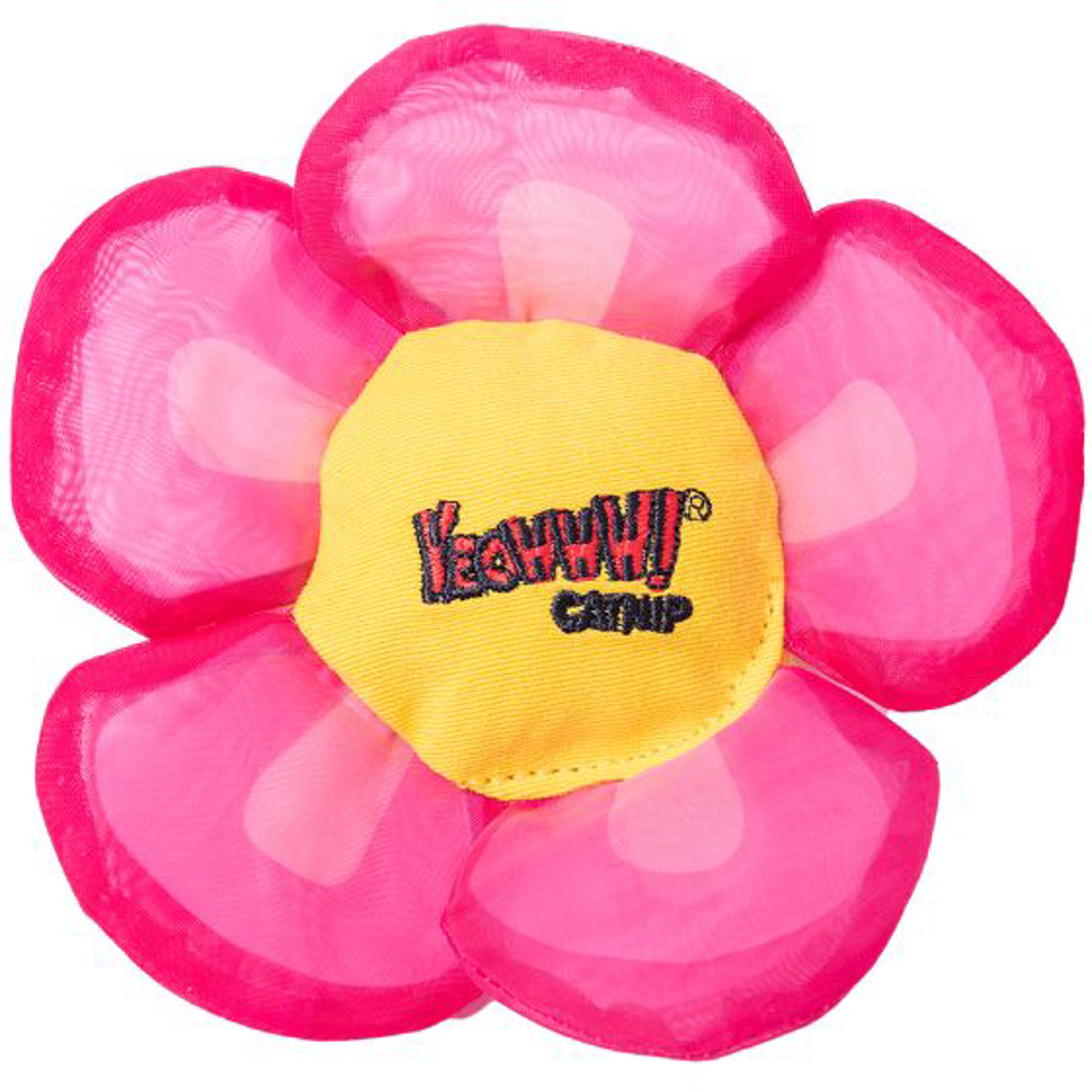 Yeowww Daisy Flower Tops Pink Cat 12pc