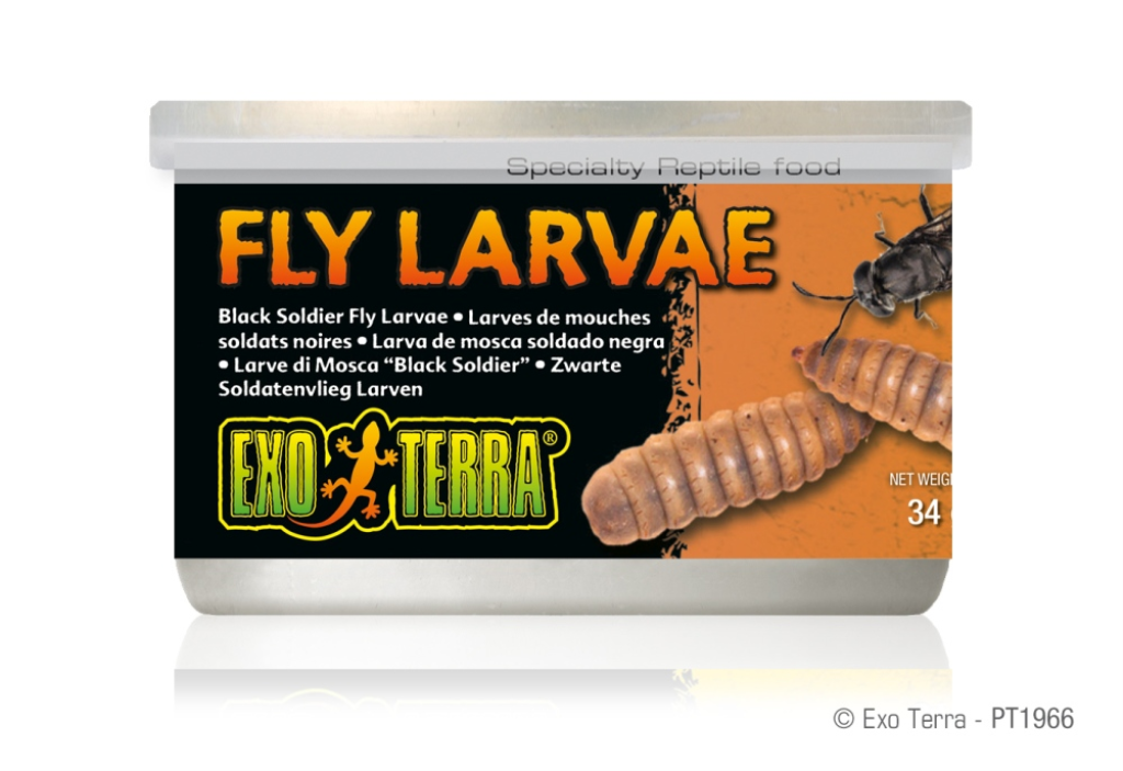 Exo Terra Fly Larvae Reptile Food, 1.2-oz