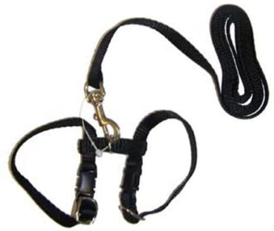 dc Marshall Harness & Lead Ferret Leash, Black